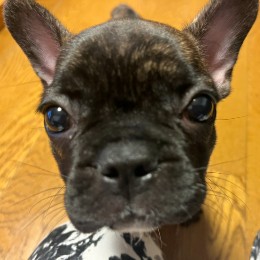 れん